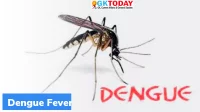 What is ‘Miraculous’ mosquito hack?