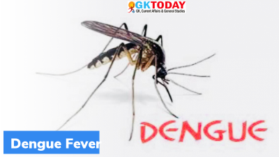 What is ‘Miraculous’ mosquito hack?