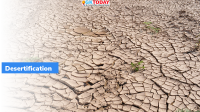 World Day to Combat Desertification and Drought