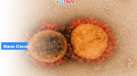 Study: Nano-decoys from human LSCs can neutralize SARS-CoV-2