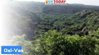 Haryana to create 80 acres of ‘Oxi-van’
