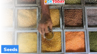 Seed Minikit Programme launched