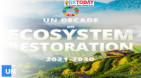 UN Decade on Ecosystem Restoration Report