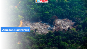 अमेज़न वर्षावन जितनी CO2 अवशोषित करता है उससे अधिक CO2 उत्सर्जित करता है : अध्ययन