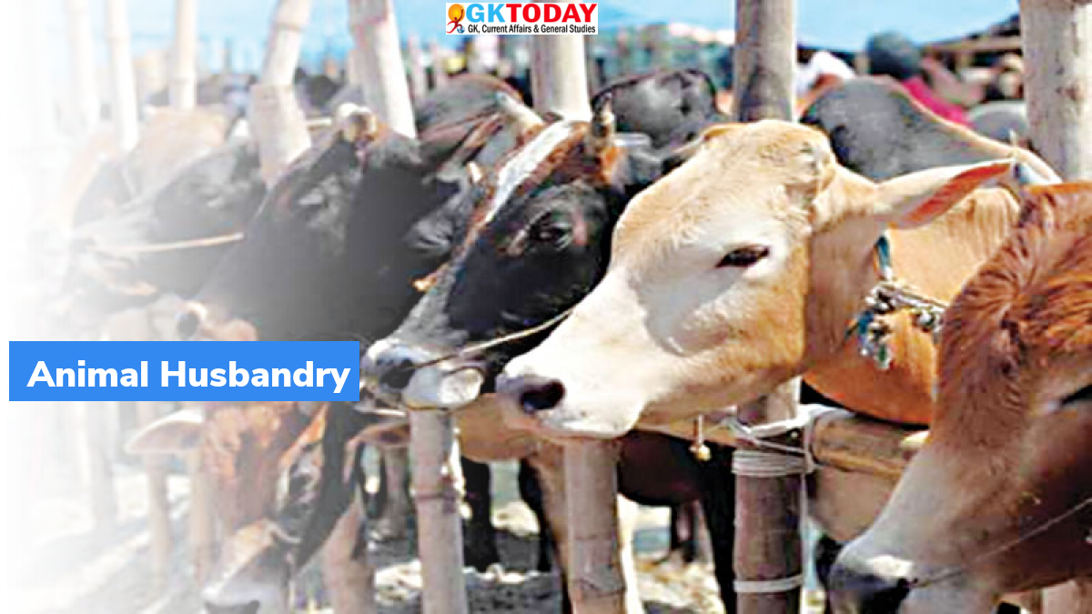 MoFPI inked MoU with Department of Animal husbandry & Dairying to improve  livestock sector - What are important current affairs facts? - GKToday