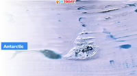 NASA’s ICESat-2 discovers Antarctic Meltwater Lakes