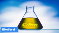 Chicken slaughter waste used as raw material for biodiesel production