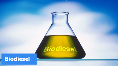 Chicken slaughter waste used as raw material for biodiesel production