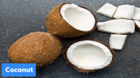 Rajya Sabha passes Coconut Development Board (Amendment) Bill