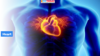 Study: Risk of cardiovascular disease to increase in TN
