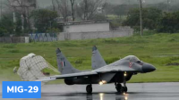 MiG-29 Fighter Jet and Its Delivery to Ukraine: Important Facts