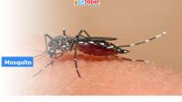 Zika virus cases reported in Kerala