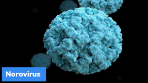 यूके में ‘नोरोवायरस’ (Norovirus) संक्रमण के मामले दर्ज किये गये