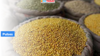 OECD-FAO outlook report on Pulses
