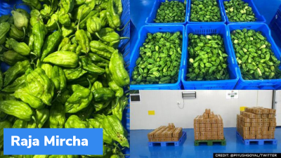 ‘Raja Mircha’ from Nagaland exported to London