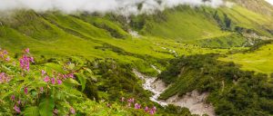भारतीय बायोस्फीयर रिजर्व