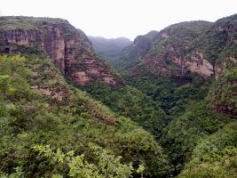 पचमढ़ी बायोस्फीयर रिजर्व, मध्य प्रदेश