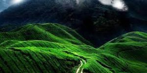 अगस्त्यमाला बायोस्फीयर रिजर्व