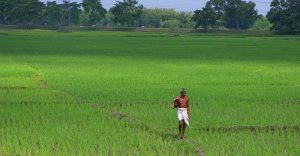 भारत में भूमि संसाधन