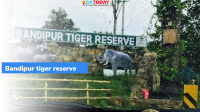 Menace of feeding wildlife continues in Bandipur