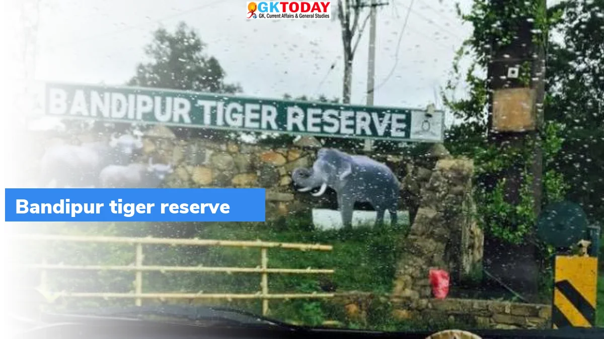 Menace of feeding wildlife continues in Bandipur 1