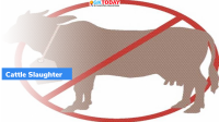 Assam passed Cattle Preservation Bill
