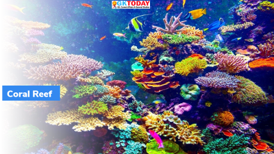 Thailand bans Coral-Damaging Sunscreens