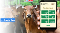 Web version of e-GOPALA application launched
