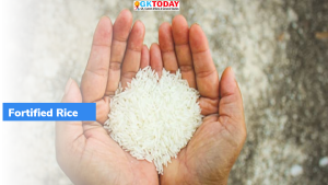 2024 तक सभी योजनाओं के तहत फोर्टीफाईड चावल (fortified rice) प्रदान किया जाएगा