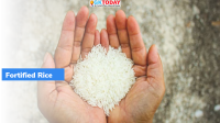 Rice under all scheme to be fortified by 2024