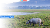 Kaziranga Park: India’s first National Park to give Satellite Phones to Forest Guards
