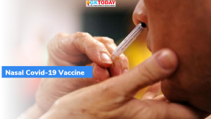 नेज़ल कोविड वैक्सीन को आगे के परीक्षणों के लिए नियामक मंजूरी मिली