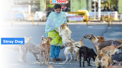 Animal Birth Control Unit