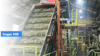 Govt announced Incentive for Mills Exporting Sugar