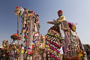 पुष्कर मेला