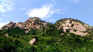 छोटा-नागपुर शुष्क पर्णपाती वन