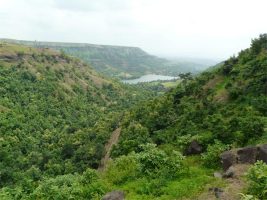 भारत में सेंट्रल हाइलैंड्स