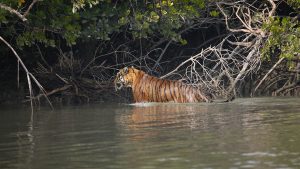 पश्चिम बंगाल के इको पार्क