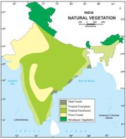 भारत में प्राकृतिक वनस्पतियाँ