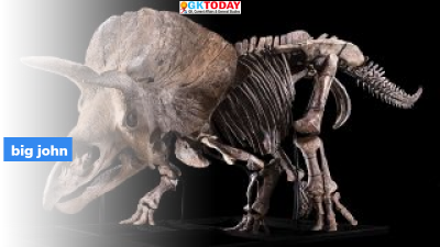 Big John- Biggest Triceratops to be auctioned