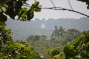 उत्तरी शुष्क पर्णपाती वन देश