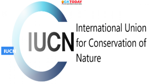 37% शार्क और रे (rays) के विलुप्त होने का खतरा : IUCN: