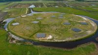 Low Frequency Array  (LOFAR)