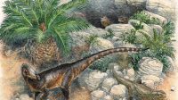 Pendraig Milnerae