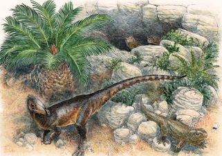 Pendraig Milnerae