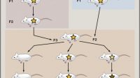Transgenerational Epigenetic Inheritance