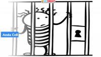 Anda Cell