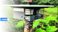 Animal Intrusion Detection and Repellent System