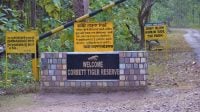 Corbett National Park