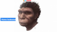 Homo bodoensis